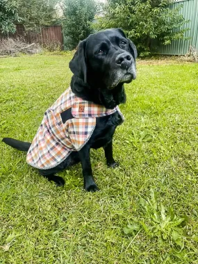 Chai Spice Flannelette Dog Coat