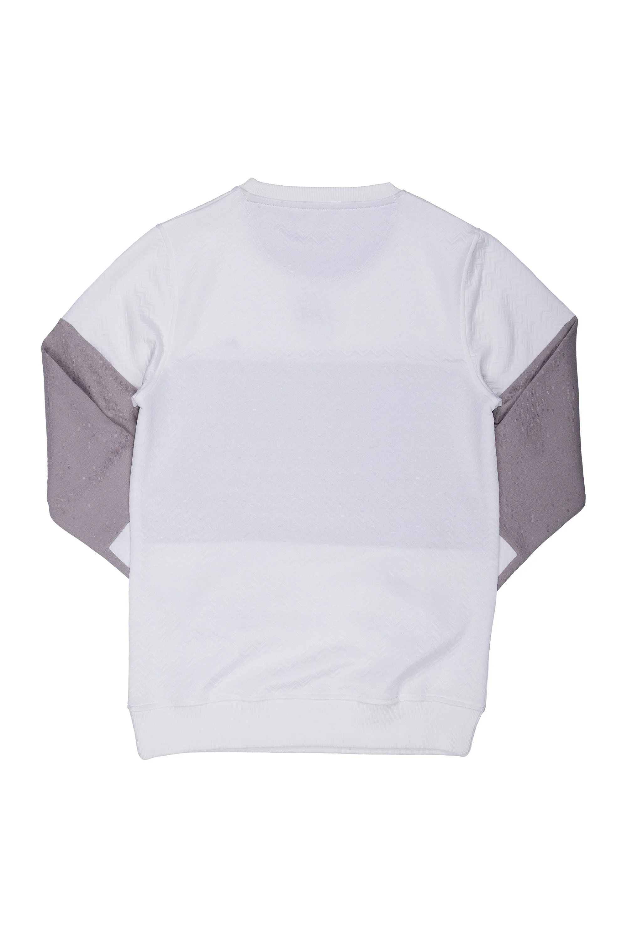 Herb | Men's Color Blocked Crew Neck Sweater