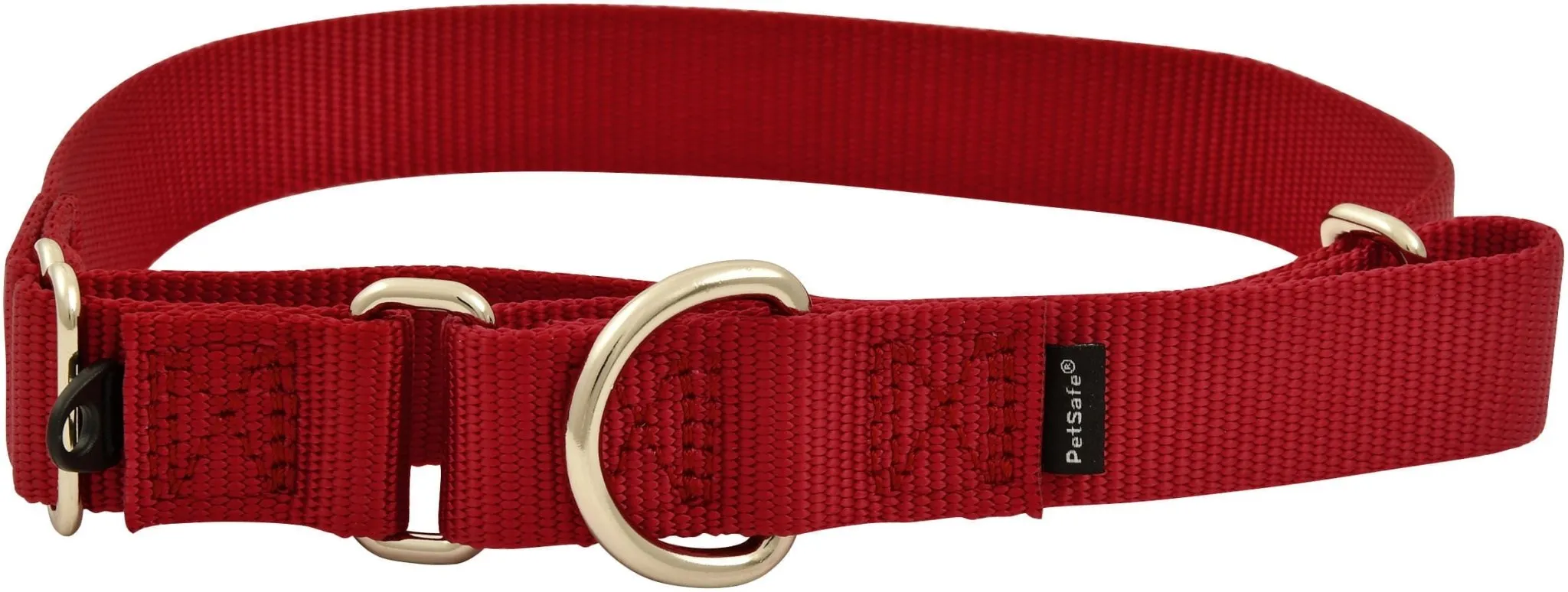 The Premier Dog Collar, 3/4" x 8" - 12"