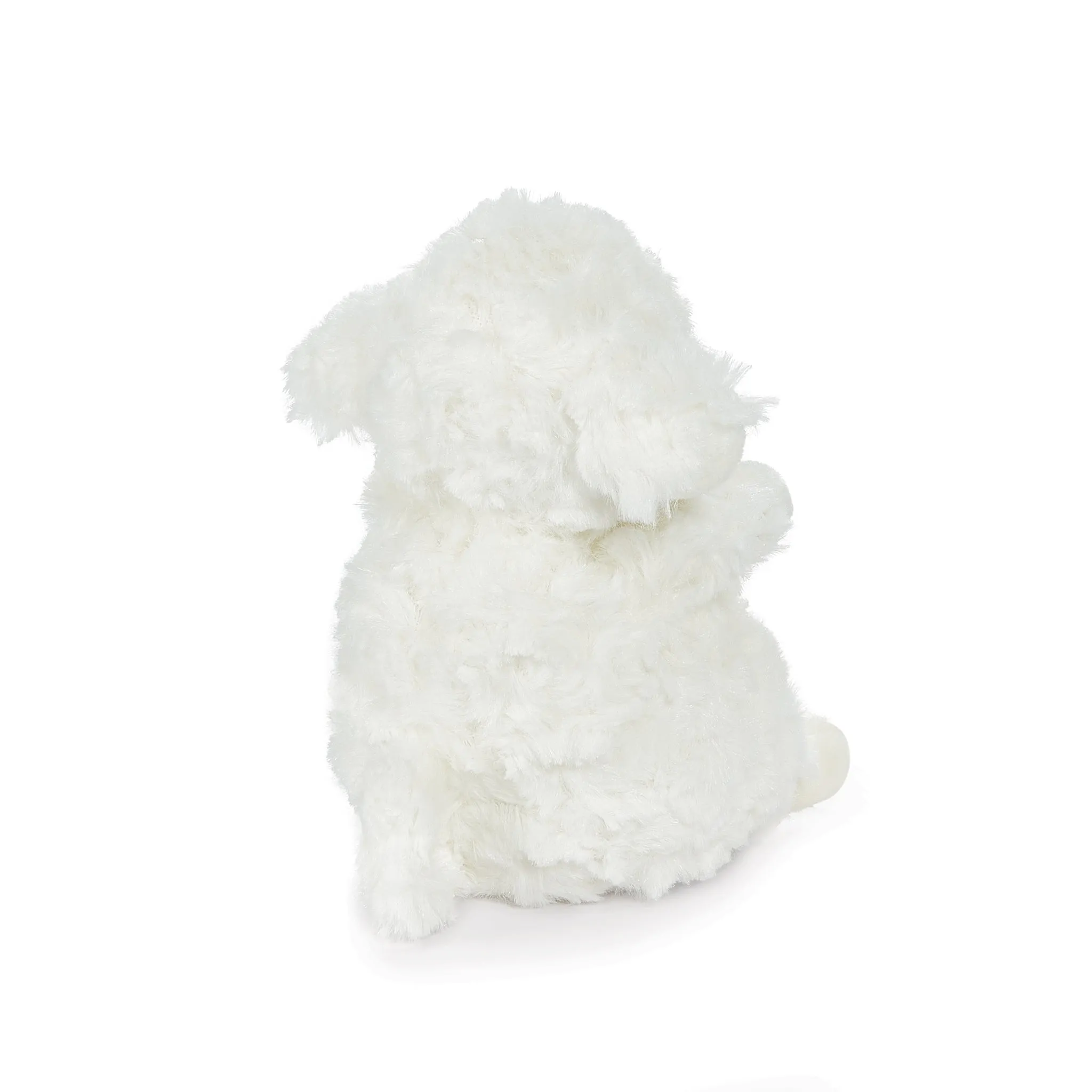 Wee Kiddo the Lamb - White